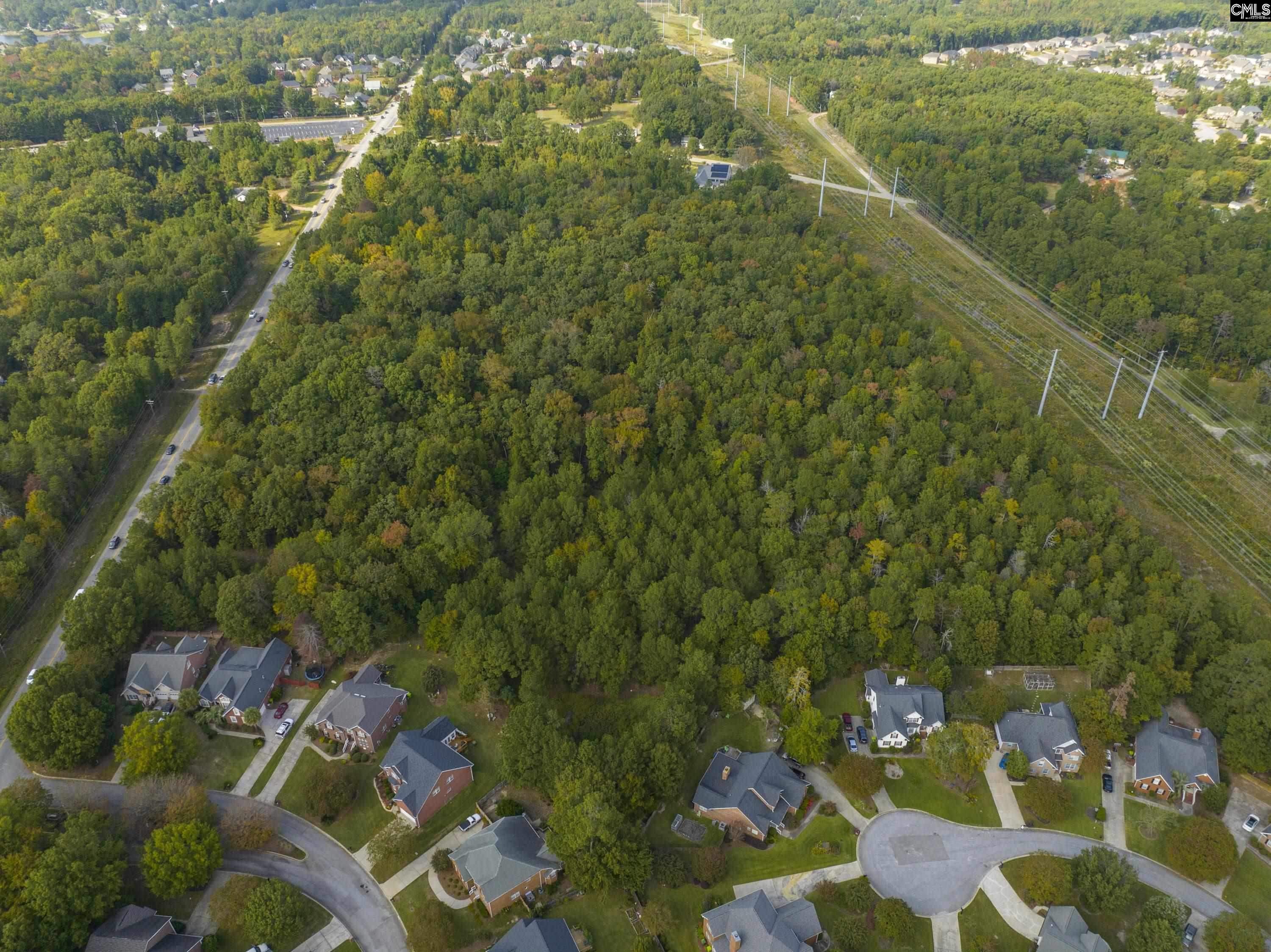 Dreher Shoals Road Irmo, SC 29063 - Photo 2 of 4