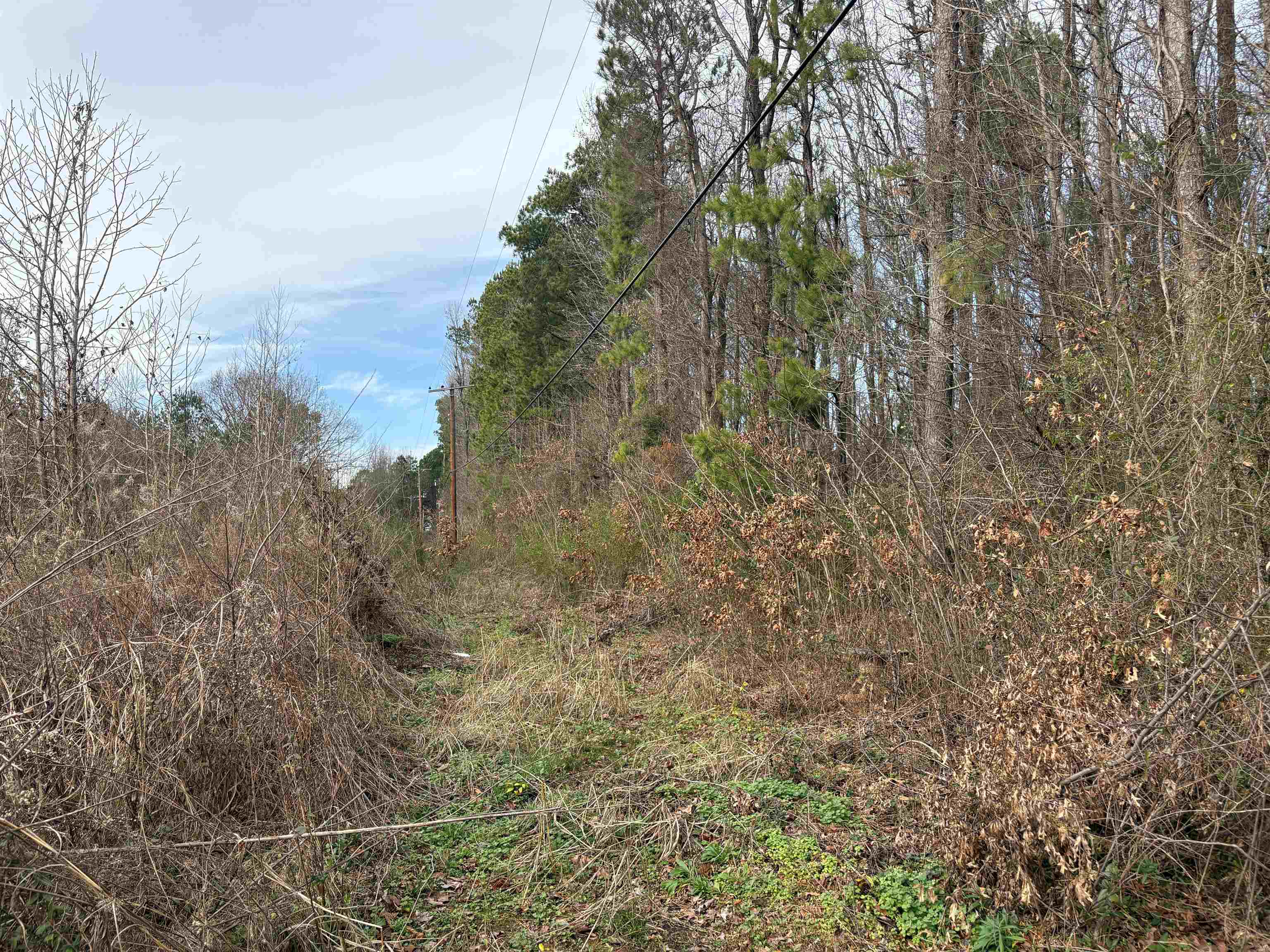 1374 West Holmes Road Memphis, TN 38109 - Photo 3 of 4