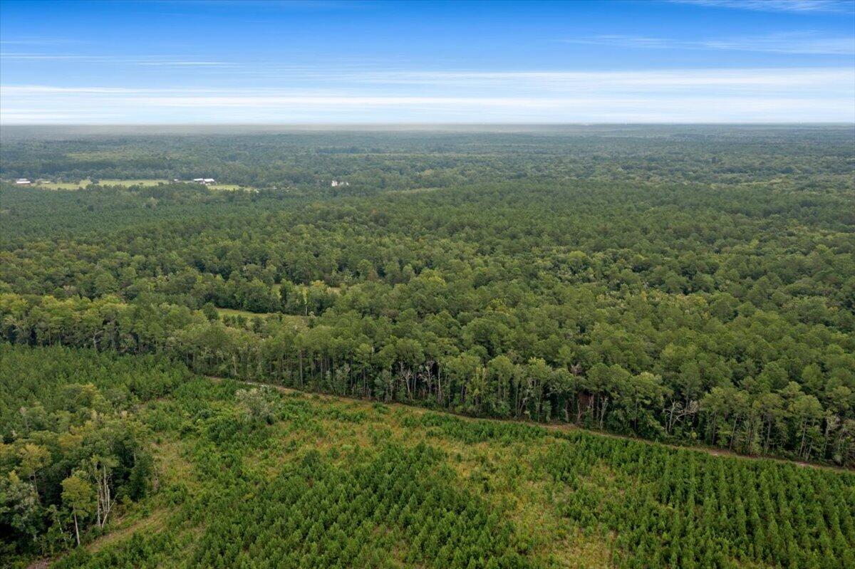 0 Camp Buddy Road Ridgeville, SC 29472 - Photo 24 of 31 13-12-DJI_0813