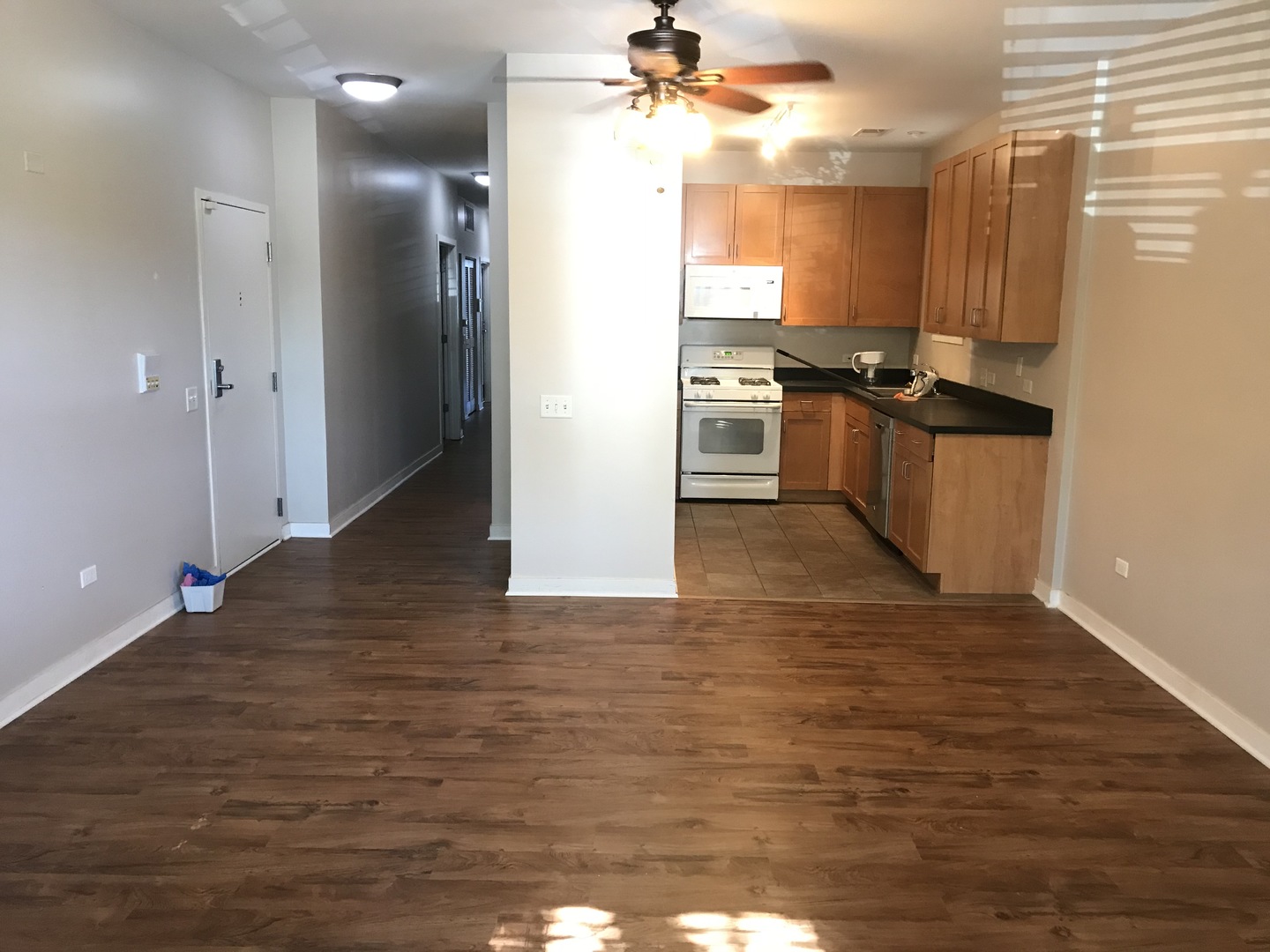 1039 South Lytle Street, Unit 102 Chicago, IL 60607 - Photo 3 of 12