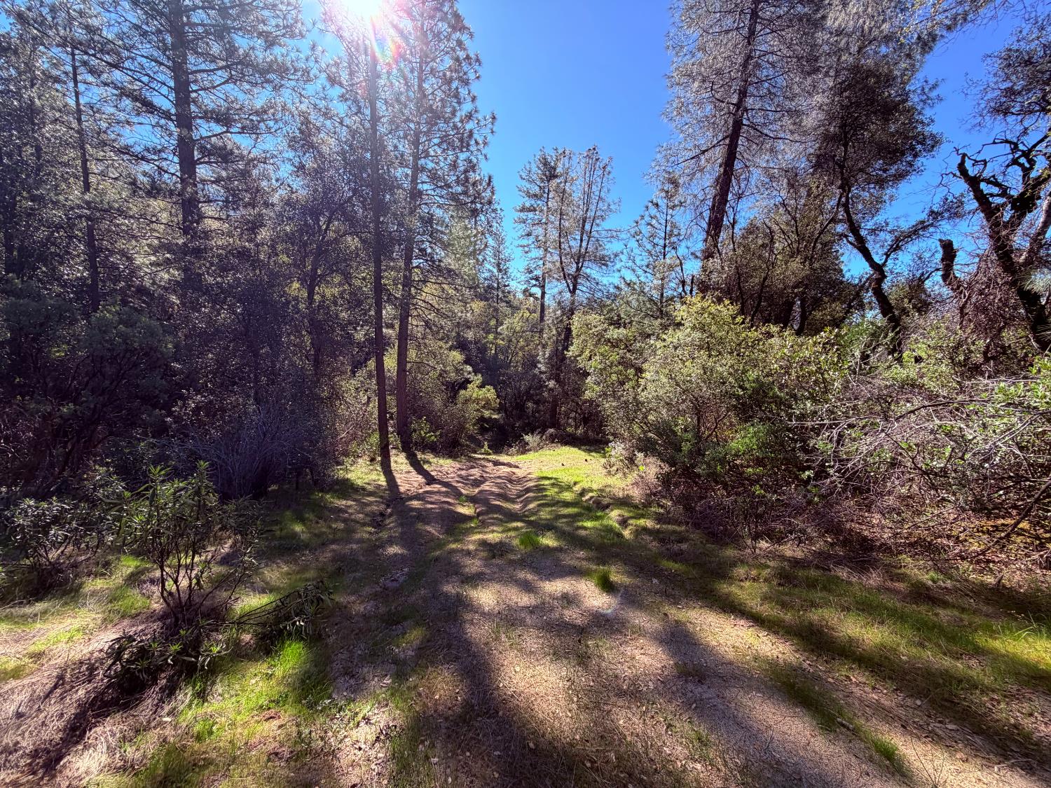 18 Raphael Ridge Road Somerset, CA 95684 - Photo 6 of 17 Gallery Image 6
