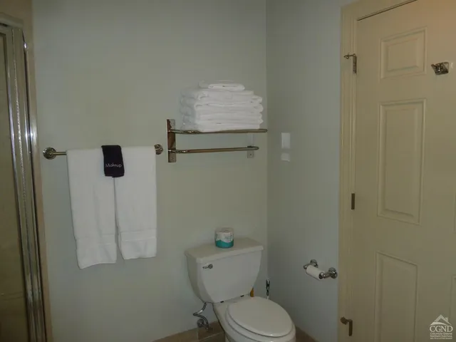 a white toilet sitting next to a shower