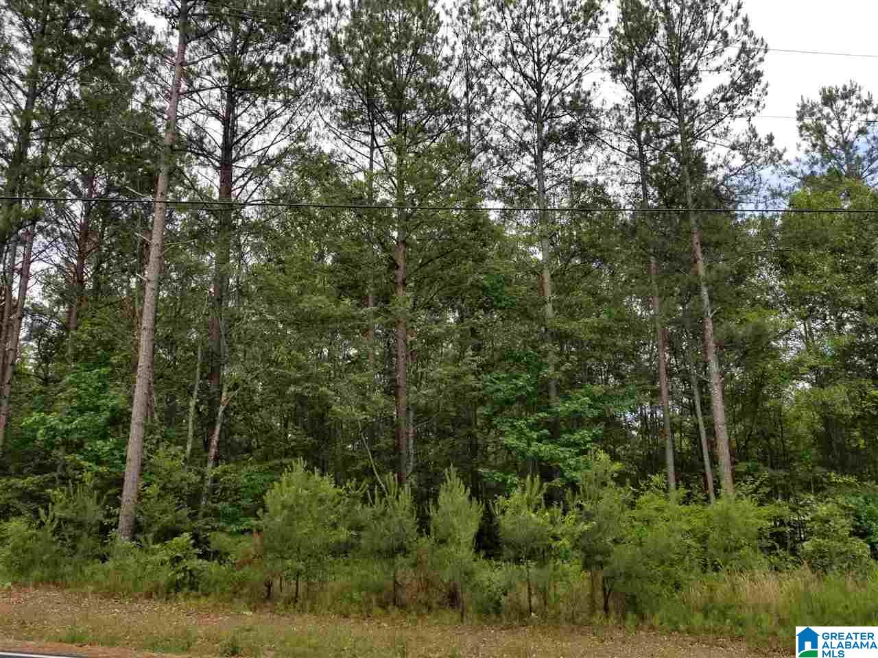 0 Pleasant Valley Road, Unit 8 42 Jacksonville, AL 36265 - Photo 4 of 10
