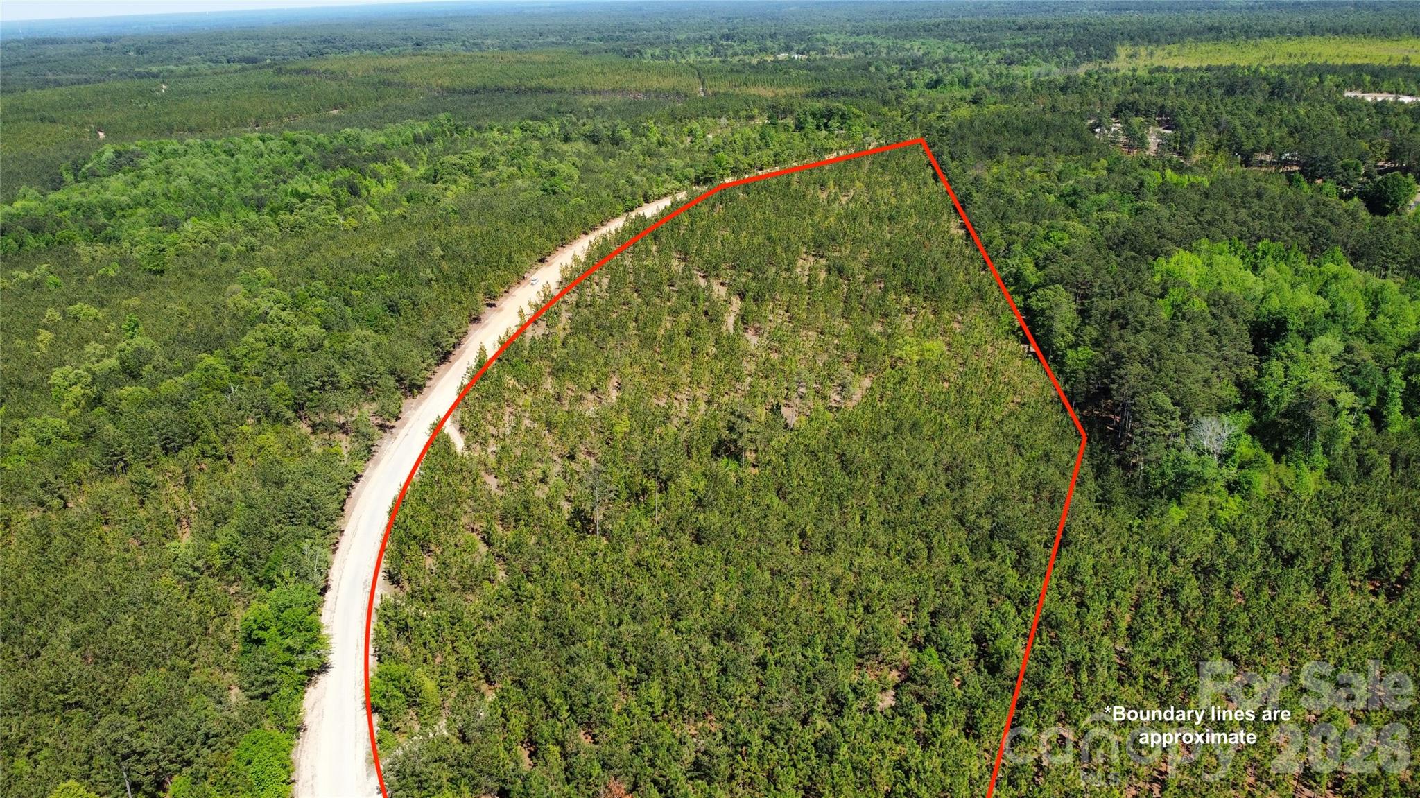 1045 McQueen Road Patrick, SC 29584 - Photo 6 of 32