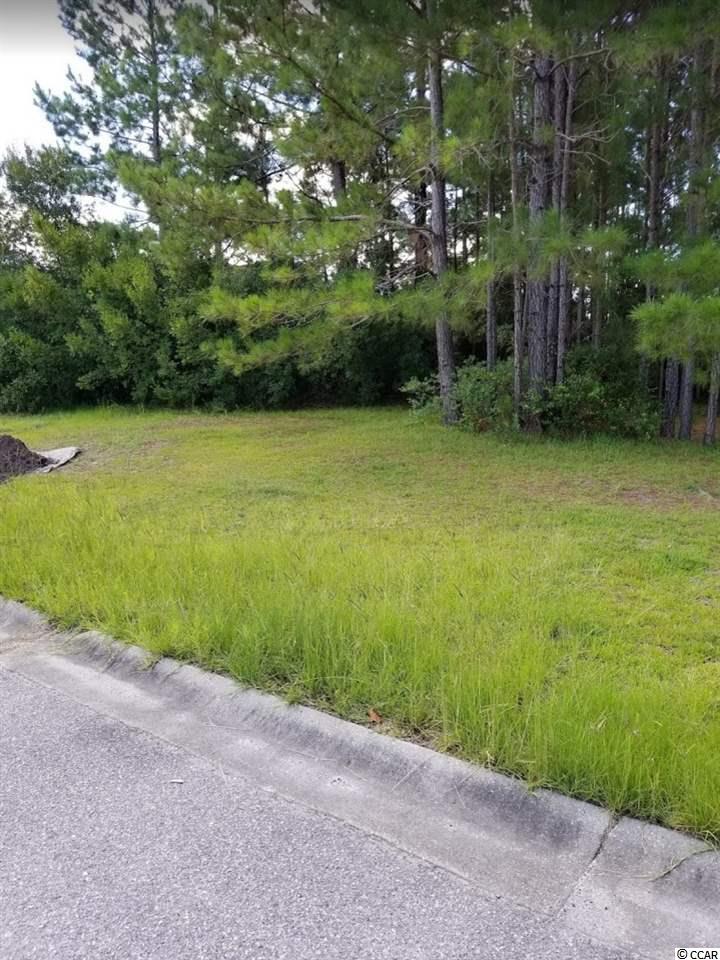 Lot 138 Linton Park Road Myrtle Beach, SC 29579 - Photo 2 of 10 Gallery Image 2