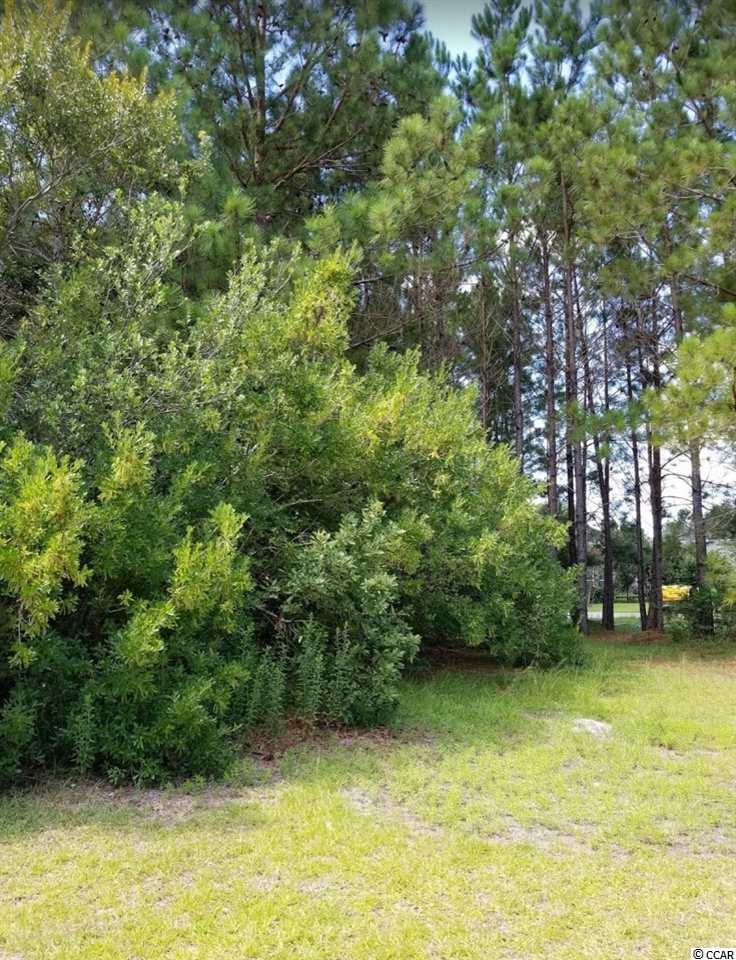Lot 138 Linton Park Road Myrtle Beach, SC 29579 - Photo 4 of 10 Gallery Image 4