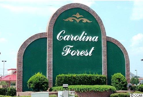Lot 138 Linton Park Road Myrtle Beach, SC 29579 - Photo 10 of 10 Gallery Image 10