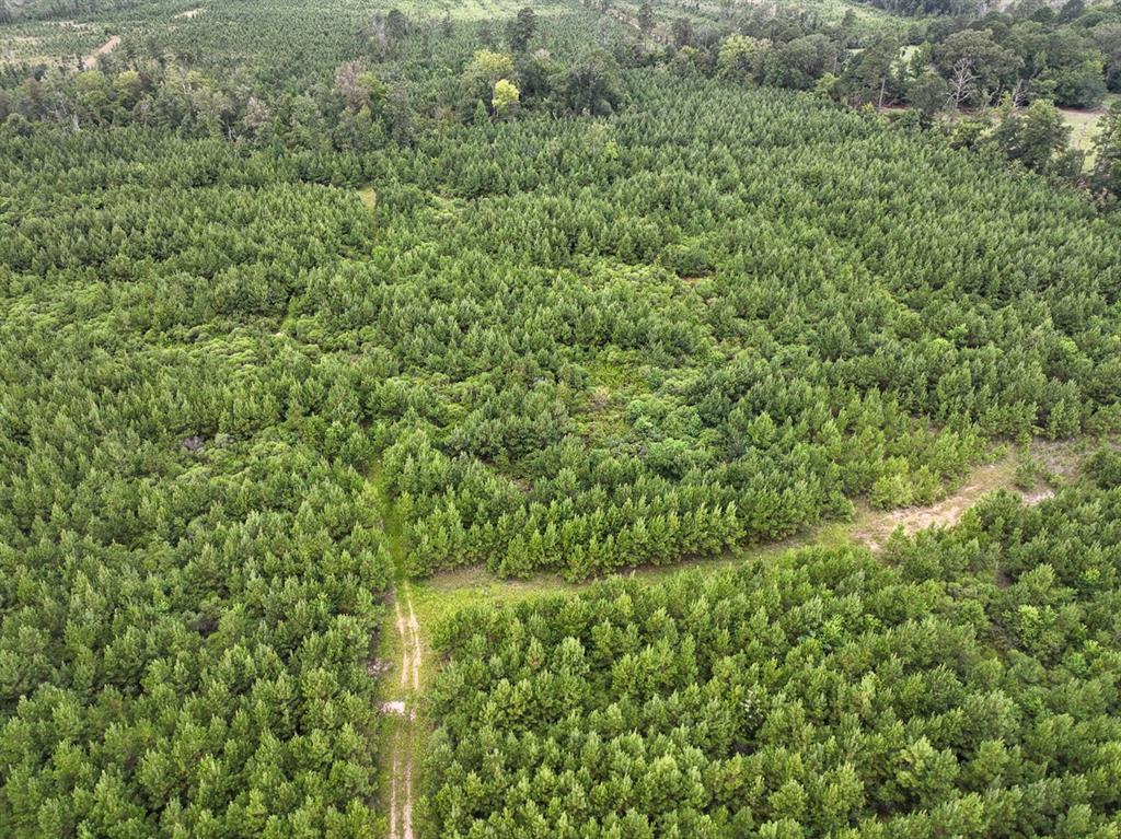 Bird's eye view of a heavily wooded area