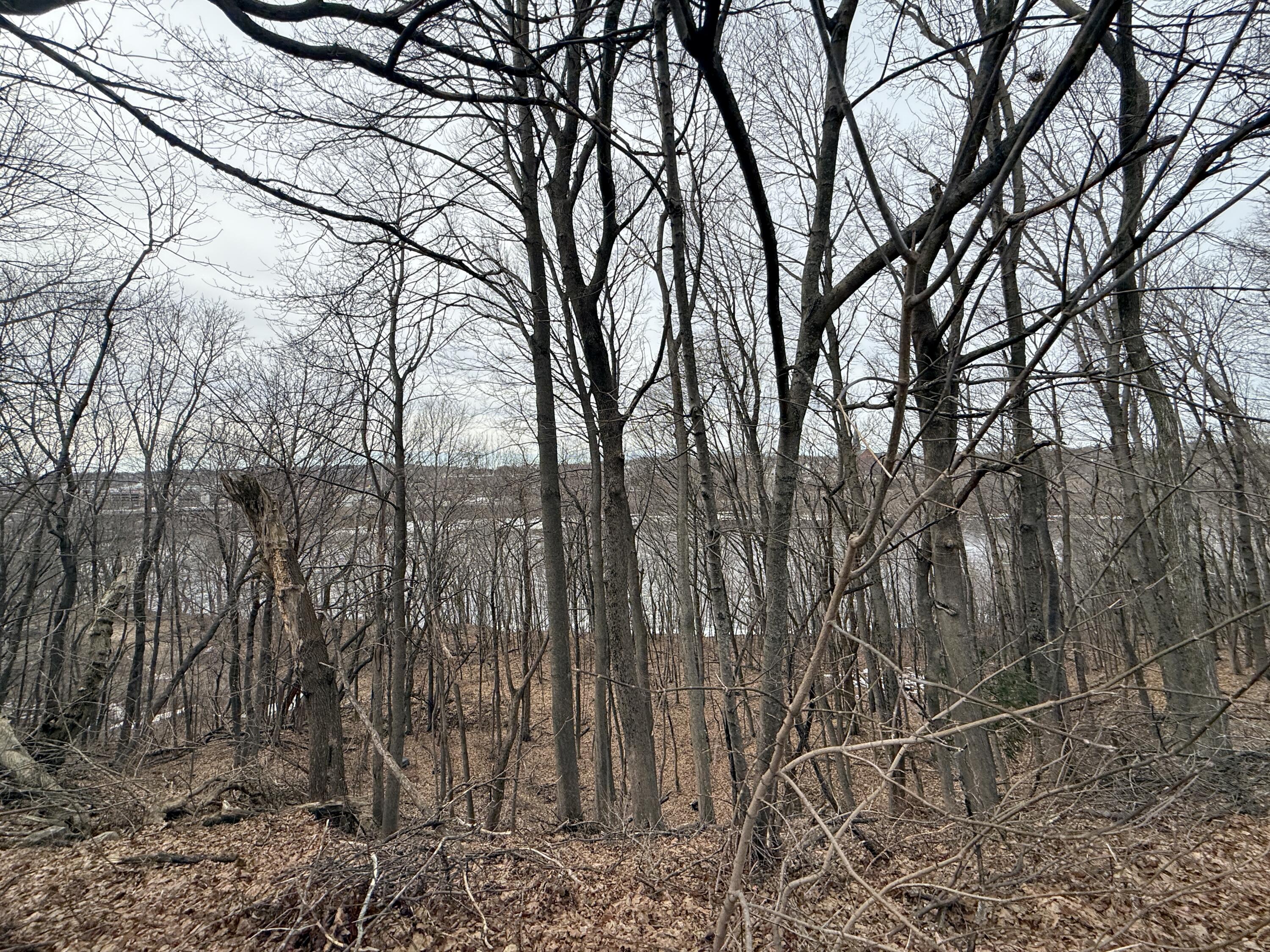 M33-140 Prospect Street Brewer, ME 04412 - Photo 16 of 17 IMG_4277