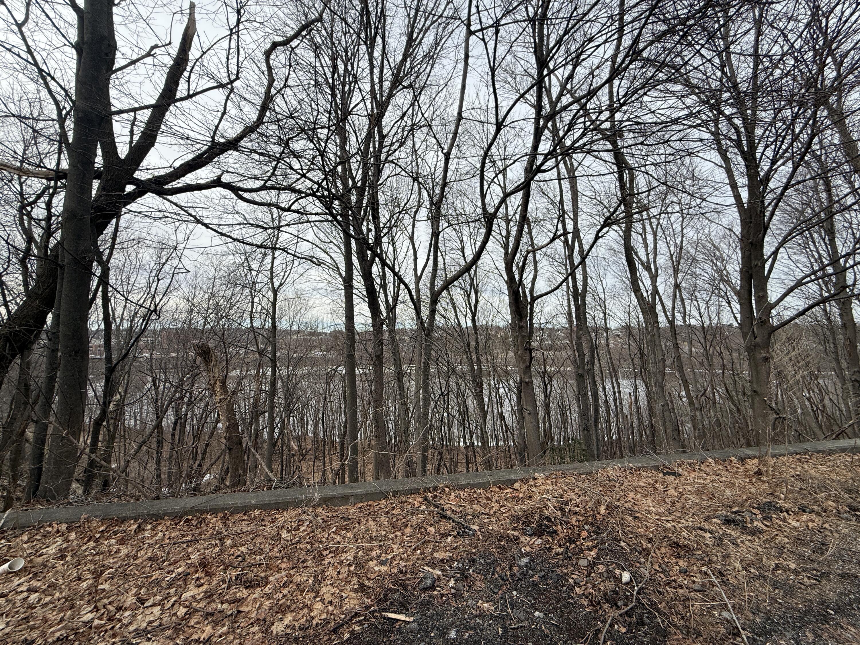 M33-140 Prospect Street Brewer, ME 04412 - Photo 17 of 17 IMG_4275