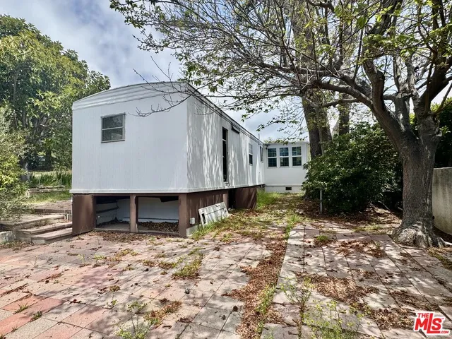 a view of a yard with plants and large trees