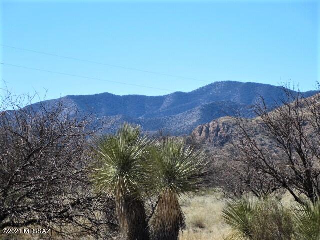 2.18-ac North Desert Road, Unit 1&2 Pearce, AZ 85625 - Photo 6 of 17