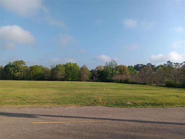 12895 Gill Road Fluker, LA 70436 - Photo 1 of 2