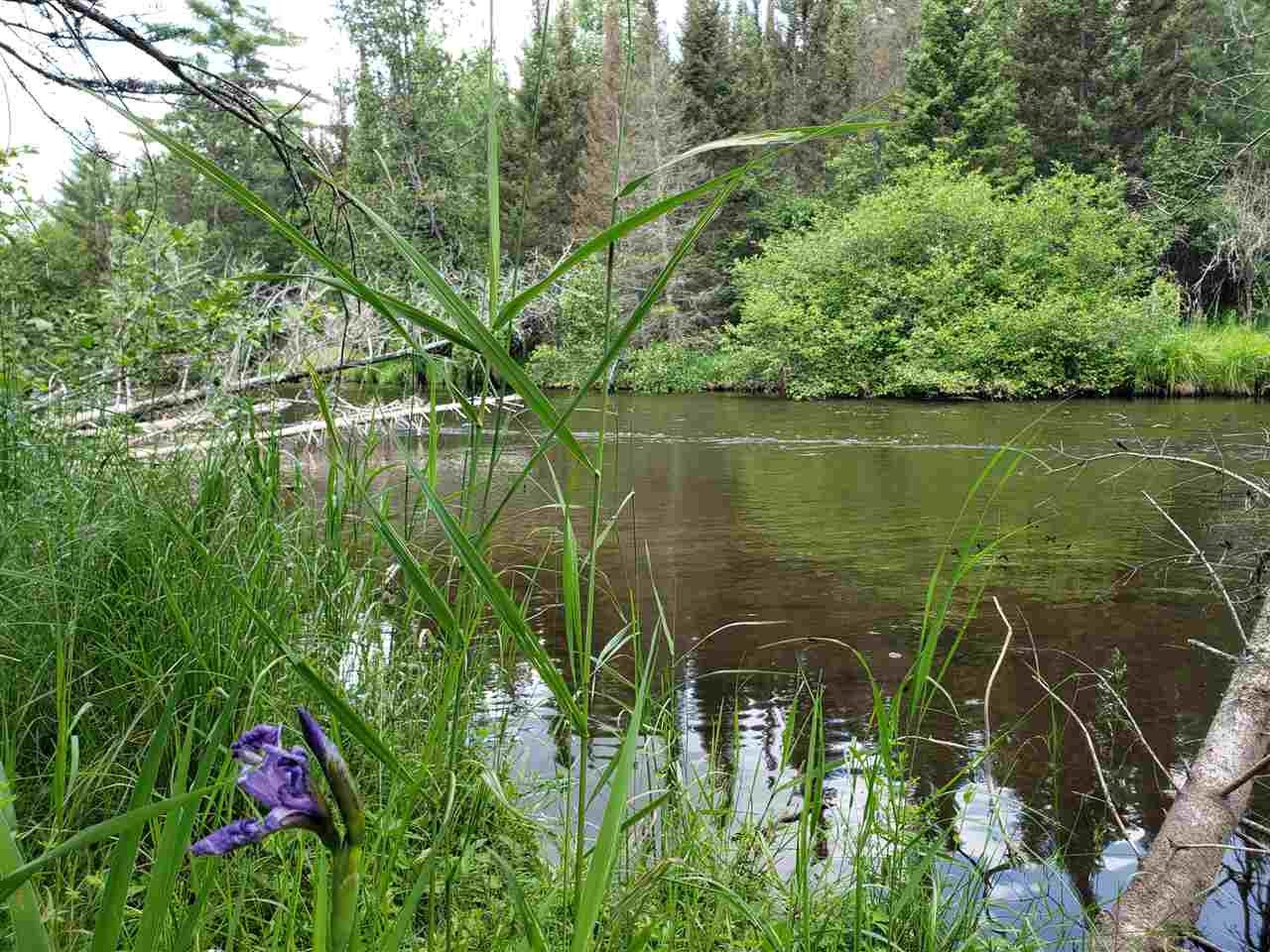 0 Mcmaster's Bridge Road Grayling, MI 49738 - Photo 2 of 9 Gallery Image 2