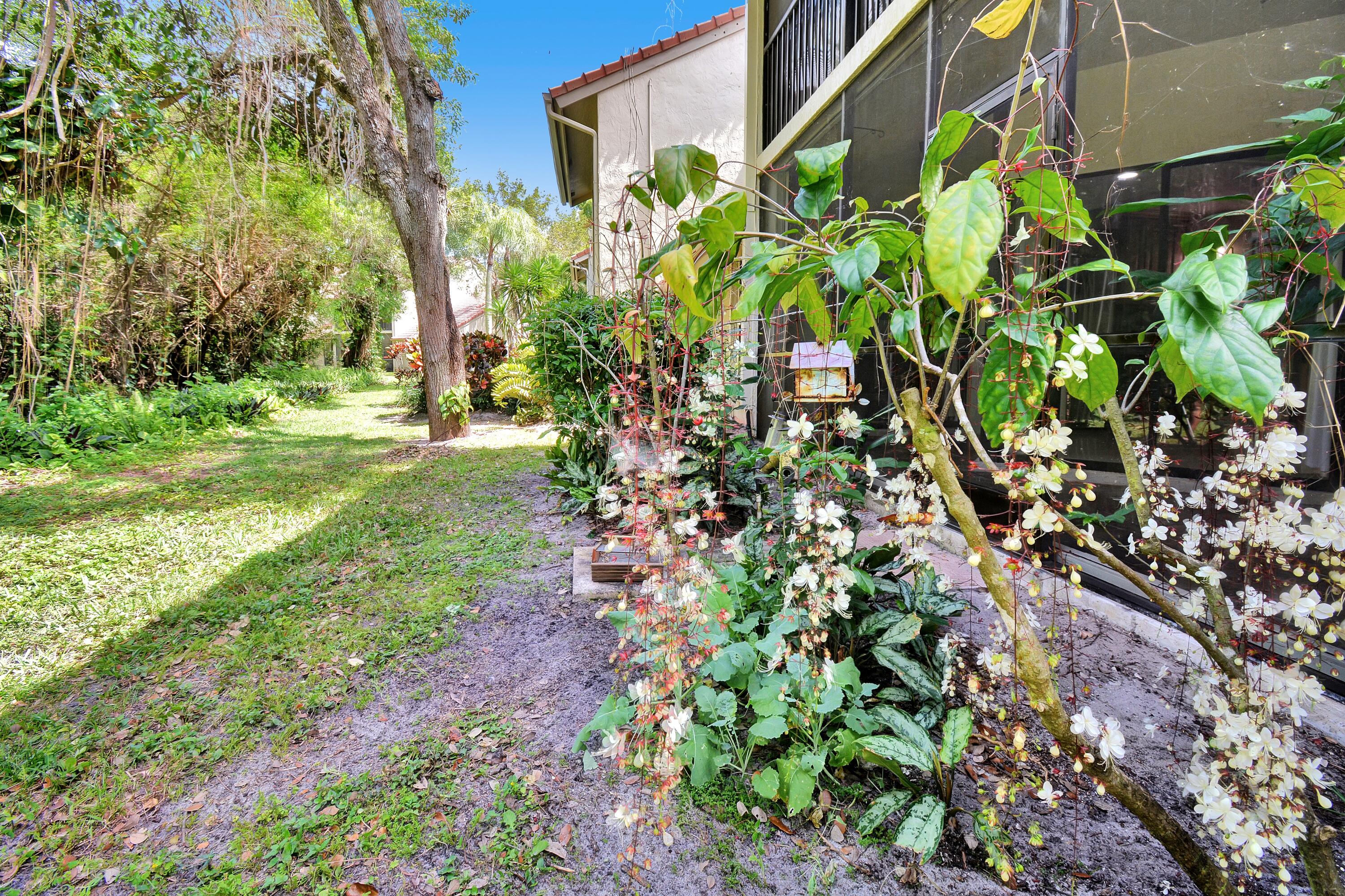 5590 Coach House Circle, Unit A Boca Raton, FL 33486 - Photo 30 of 33 a plant that is in front of a house