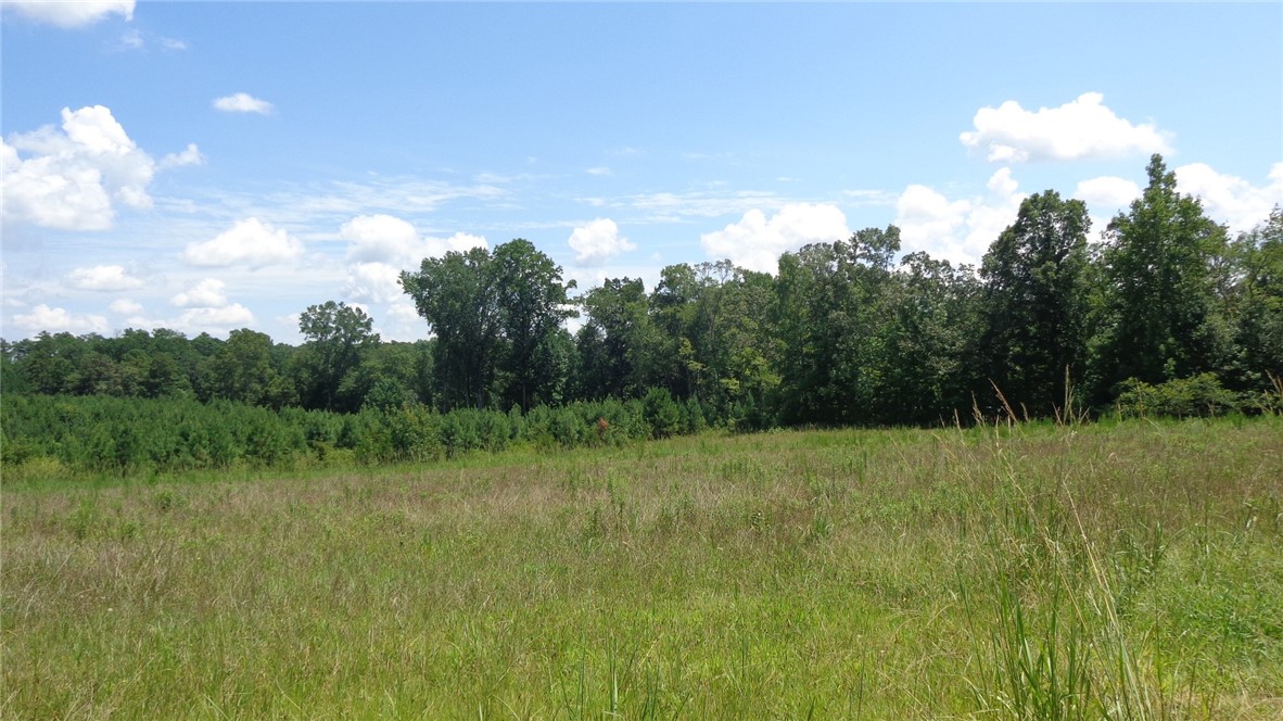 706 Mile Creek Road Pickens, SC 29671 - Photo 3 of 7 Gallery Image 3