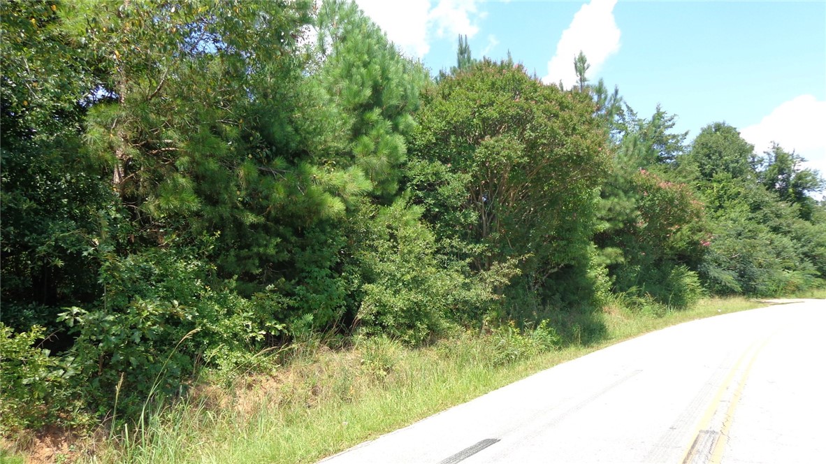 706 Mile Creek Road Pickens, SC 29671 - Photo 6 of 7 Gallery Image 6