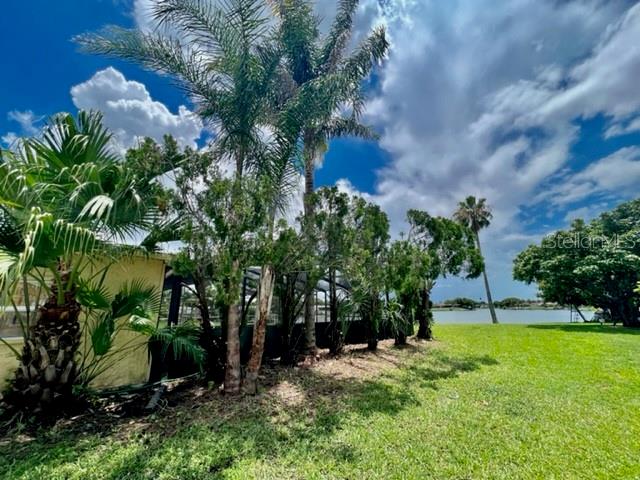 9611 Towanda Lane Port Richey, FL 34668 - Photo 43 of 54