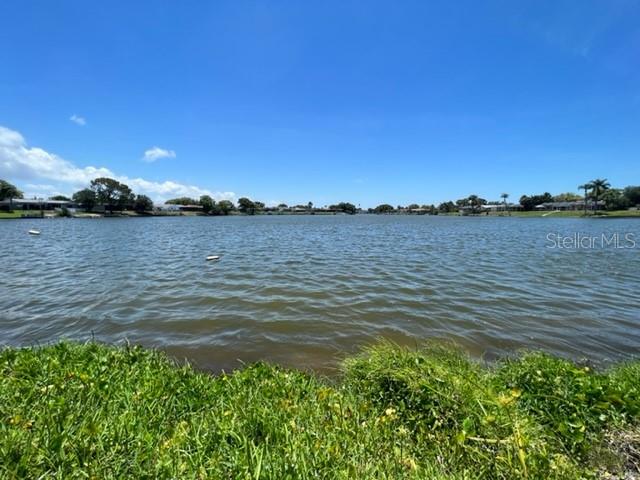 9611 Towanda Lane Port Richey, FL 34668 - Photo 47 of 54