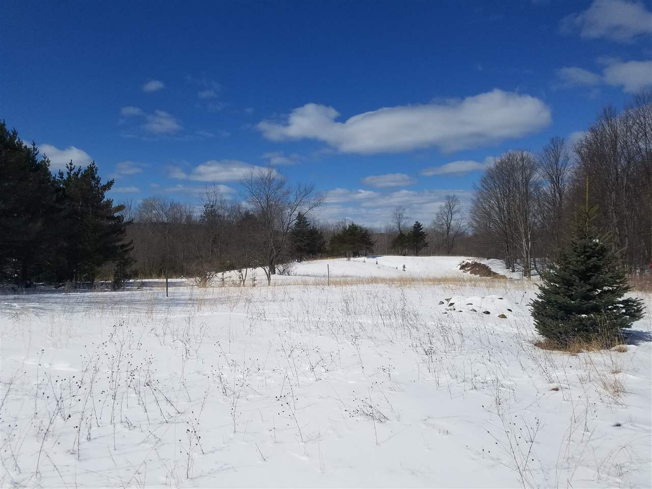 2412 South 15 Road Harrietta, MI 49638 - Photo 9 of 42 1844609-8.JPG