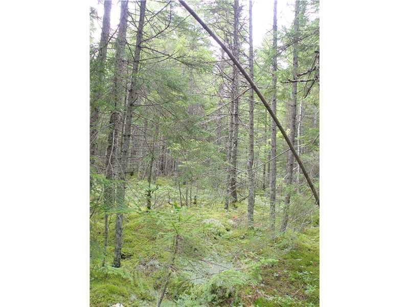 Lot 52 Grand Marsh Bay Road Corea, ME 04624 - Photo 13 of 15 Land/Lot. Interior