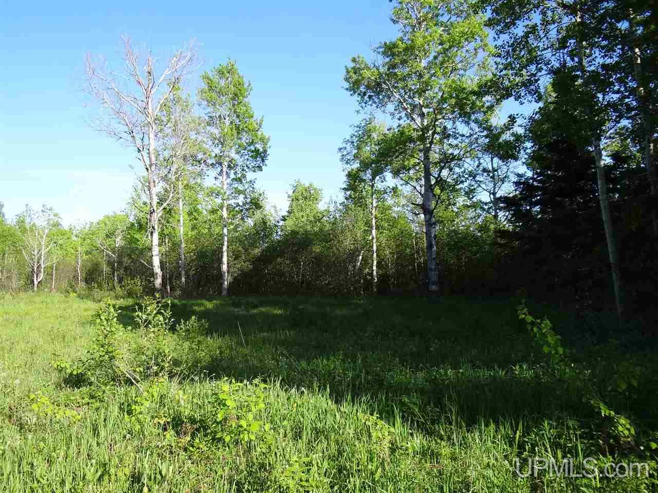 Tbd Oikarainen Road Hancock, MI 49913 - Photo 6 of 18