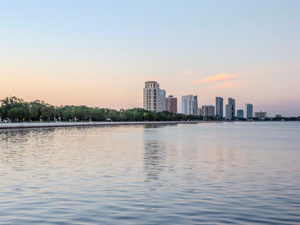 2807 West Hawthorne Road, Unit 11 Tampa, FL 33611 - Photo 66 of 76