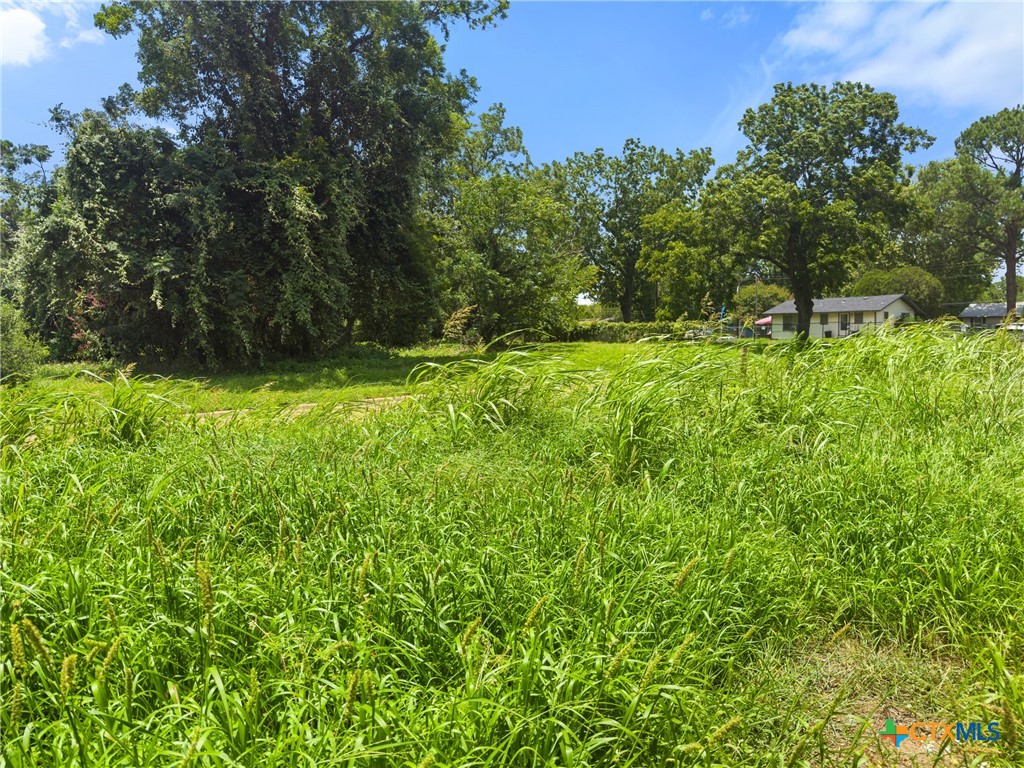 203 Trinity Street Hearne, TX 77859 - Photo 7 of 9