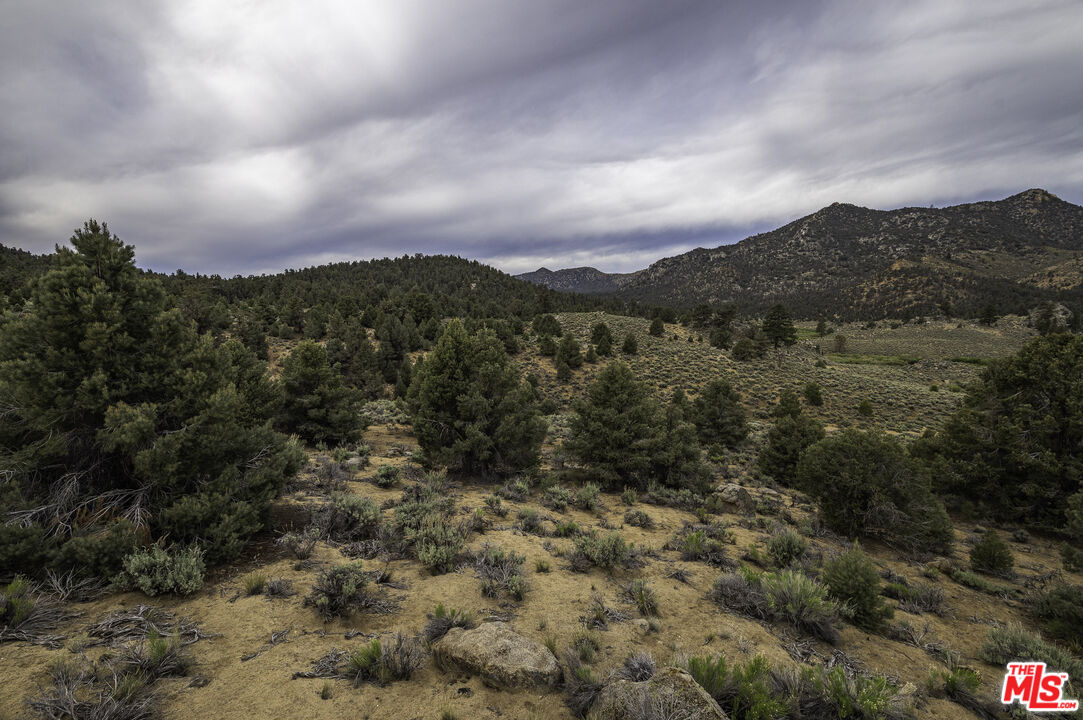 0 Pinon Drive Inyokern, CA 93527 - Photo 3 of 7