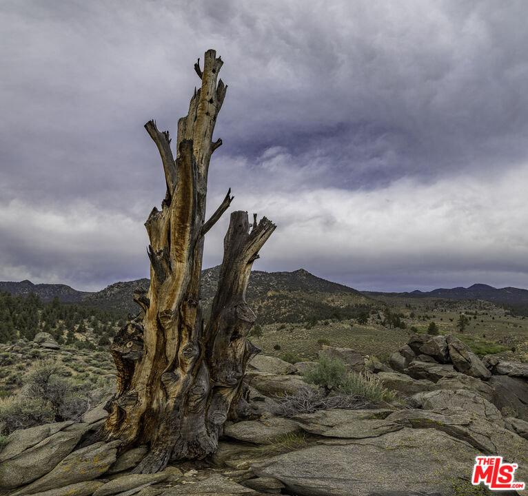 0 Pinon Drive Inyokern, CA 93527 - Photo 5 of 7