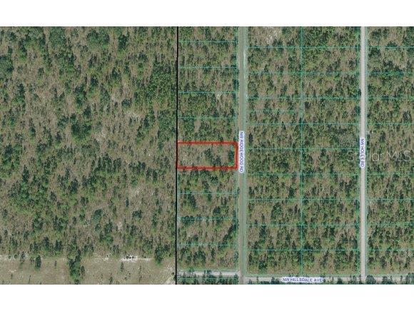 Lot 14 Southwest Lot Road Dunnellon, FL 34431 - Photo 1 of 1 Primary Photo