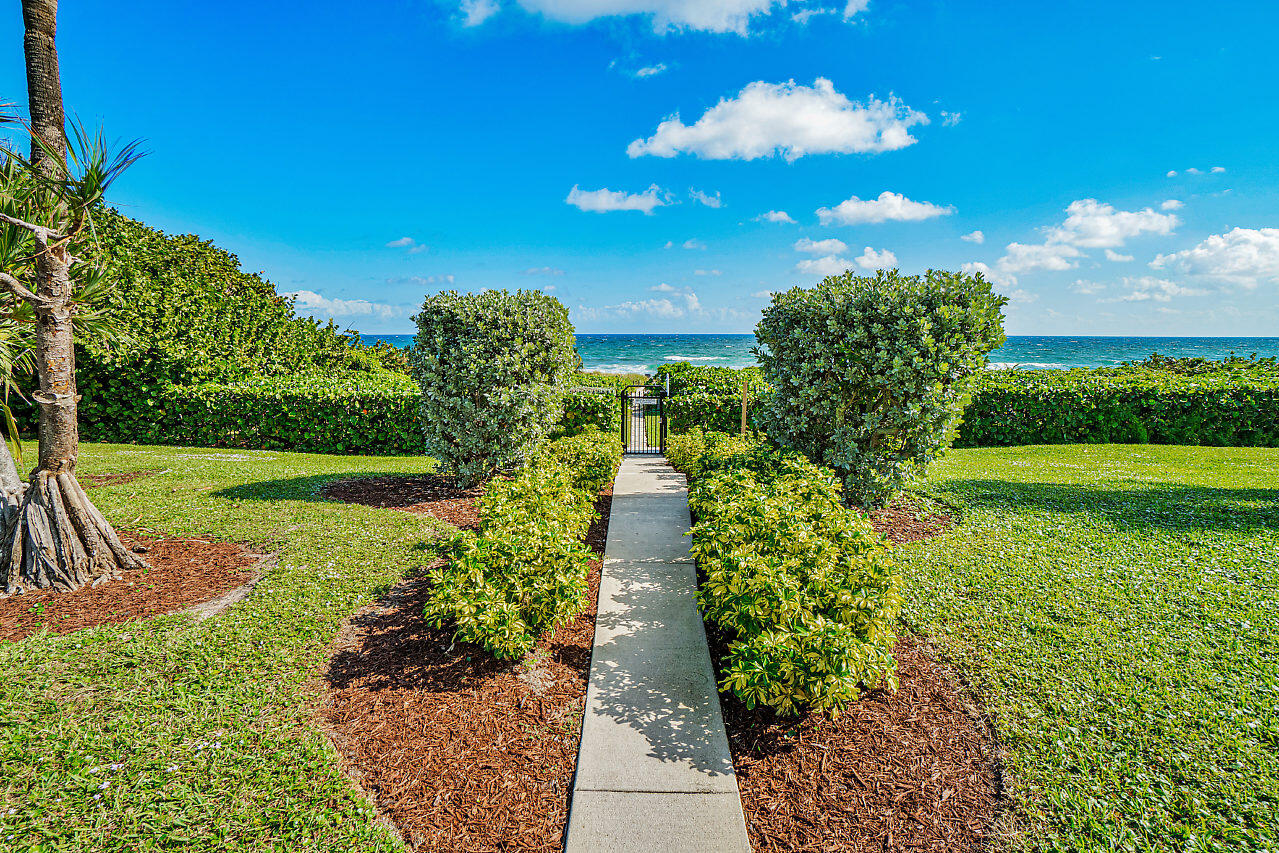4545 North Ocean Boulevard, Unit 11C Boca Raton, FL 33431 - Photo 48 of 58 a view of a garden with plants