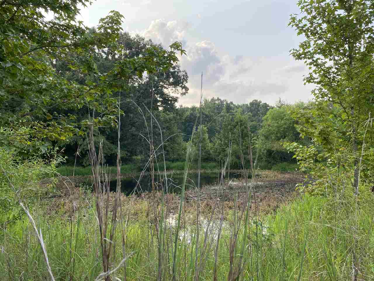 1950 Price Road Moscow, TN 38057 - Photo 13 of 25 Gallery Image 13