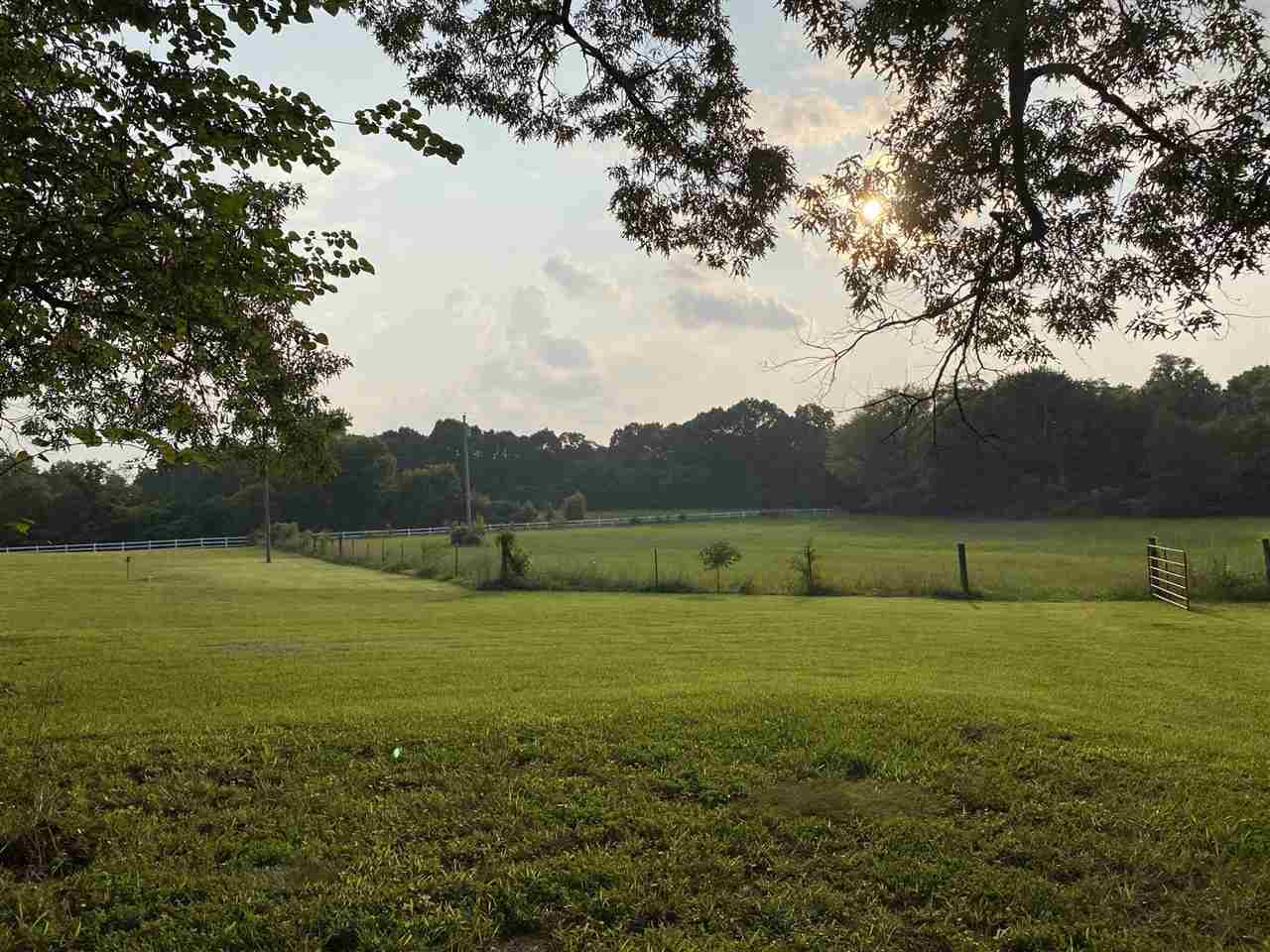1950 Price Road Moscow, TN 38057 - Photo 19 of 25 Gallery Image 19