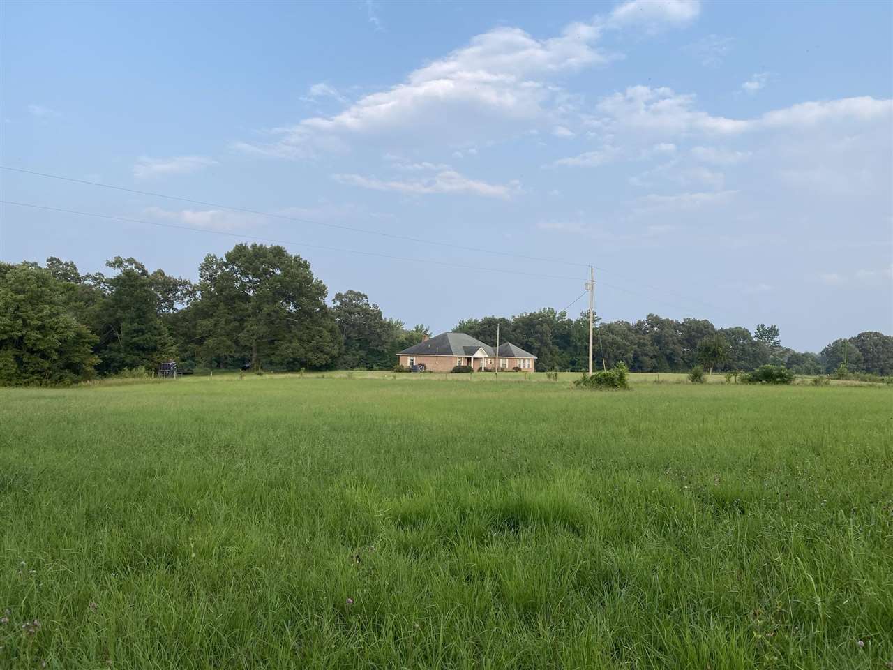1950 Price Road Moscow, TN 38057 - Photo 21 of 25 Gallery Image 21