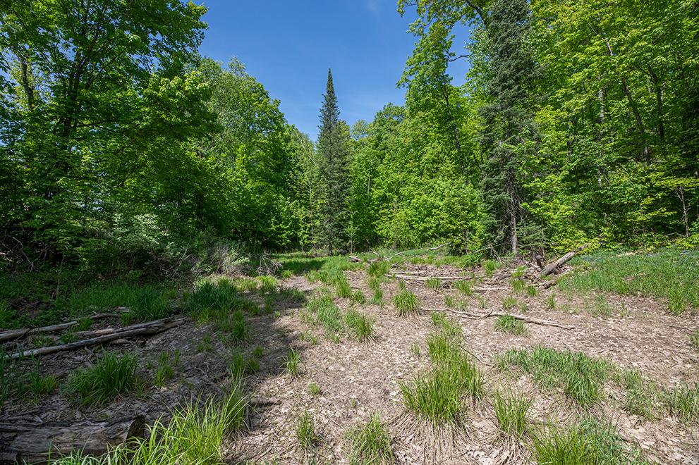 4580 Coveyville Road Phelps, WI 54554 - Photo 22 of 35 Gallery Image 22