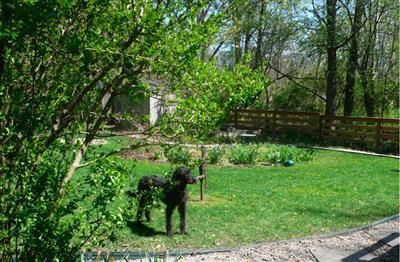 8929 Warren Woods Road Lakeside, MI 49116 - Photo 18 of 20 Additional Photo