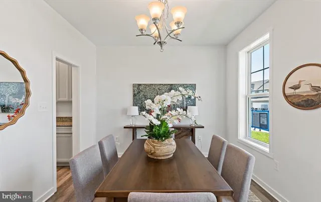 a view of a dining room with furniture a potted plant and wooden floor
