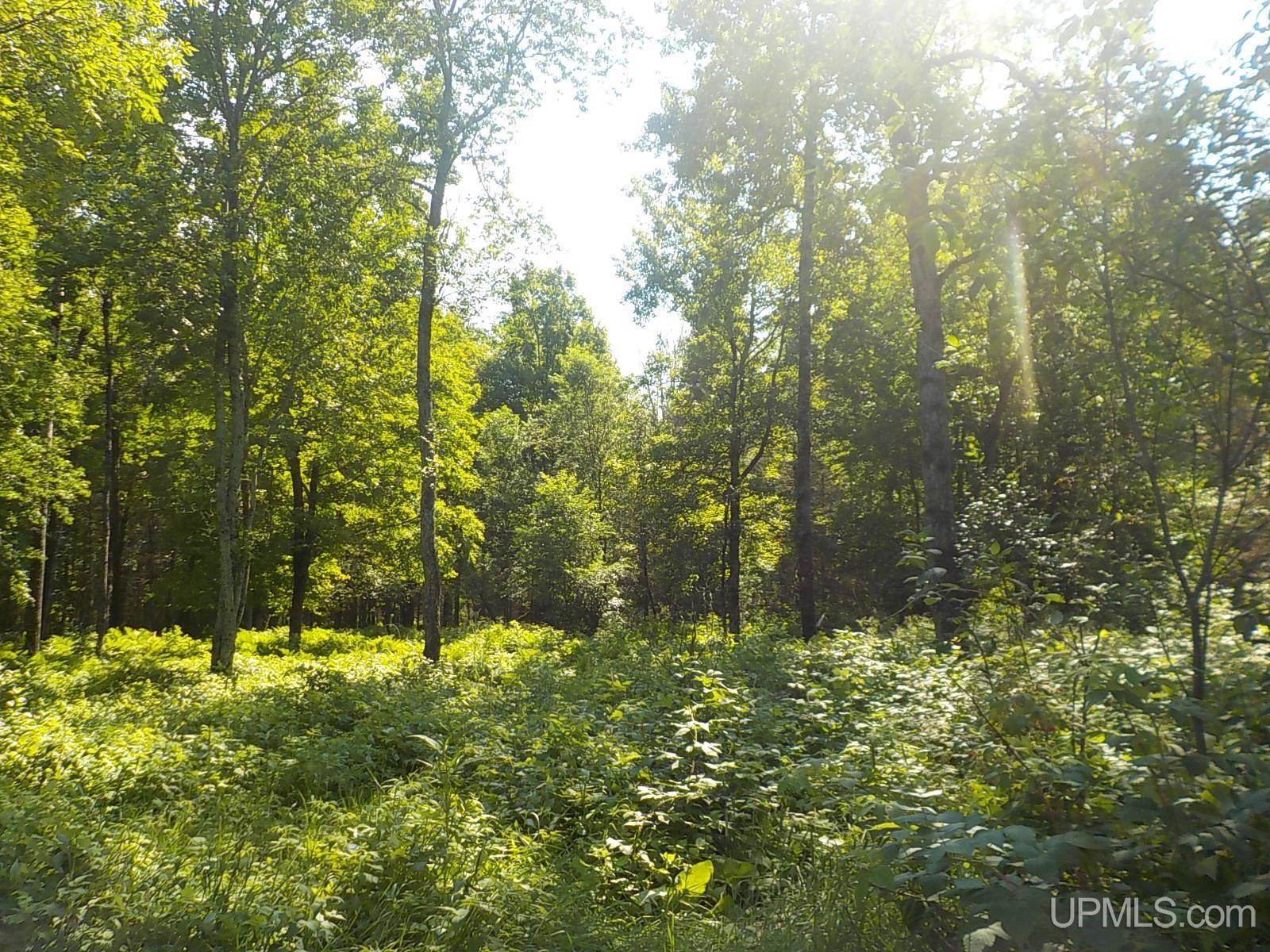 468 Balsam Road Crystal Falls, MI 49920 - Photo 27 of 28