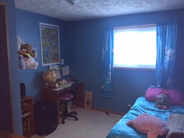 248 Estelle Road Gaylord, MI 49735 - Photo 9 of 15 Gallery Image 9