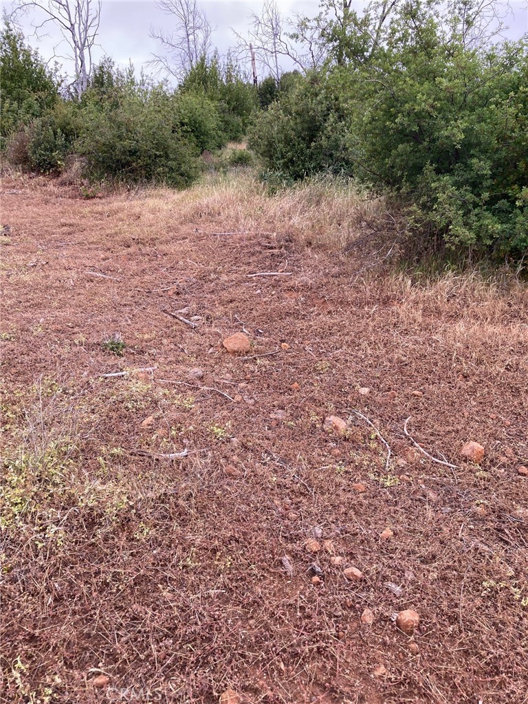 a view of a lake with trees in the background