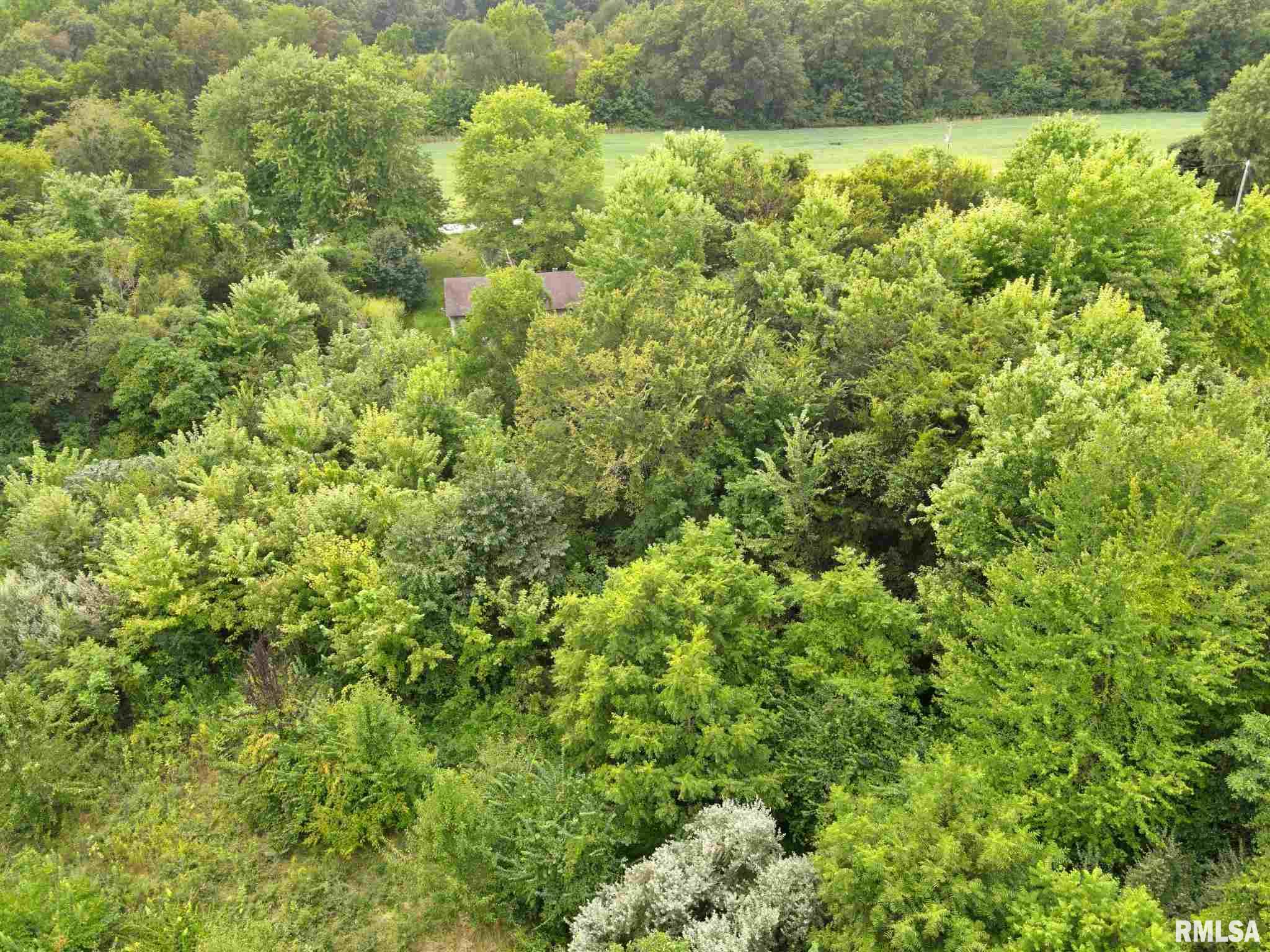 4062 Guinea Road Metropolis, IL 62960 - Photo 16 of 16 Gallery Image 16