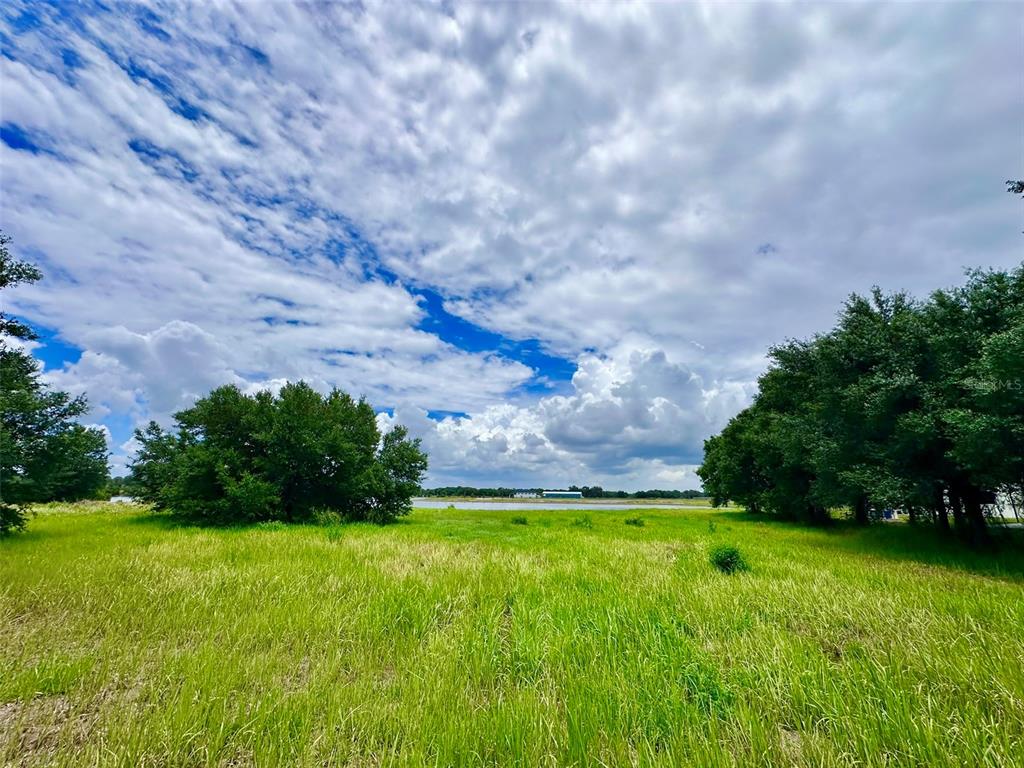 4946 Wauchula Road Myakka City, FL 34251 - Photo 8 of 9