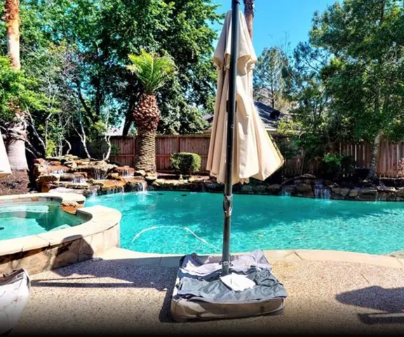 a view of a backyard with a garden and plants