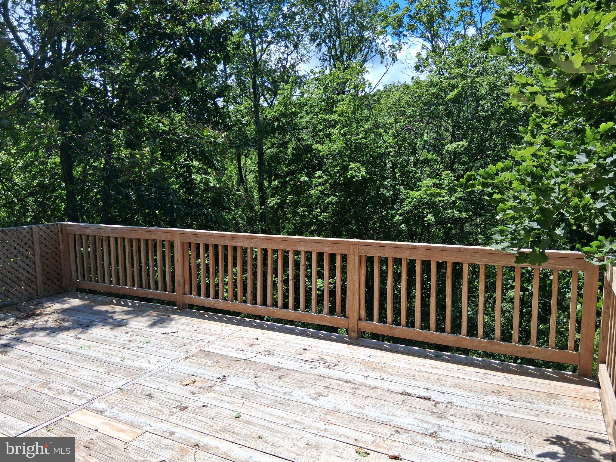 265 View Street Johnstown, PA 15902 - Photo 20 of 66 Serene deck overlooking lush greenery.