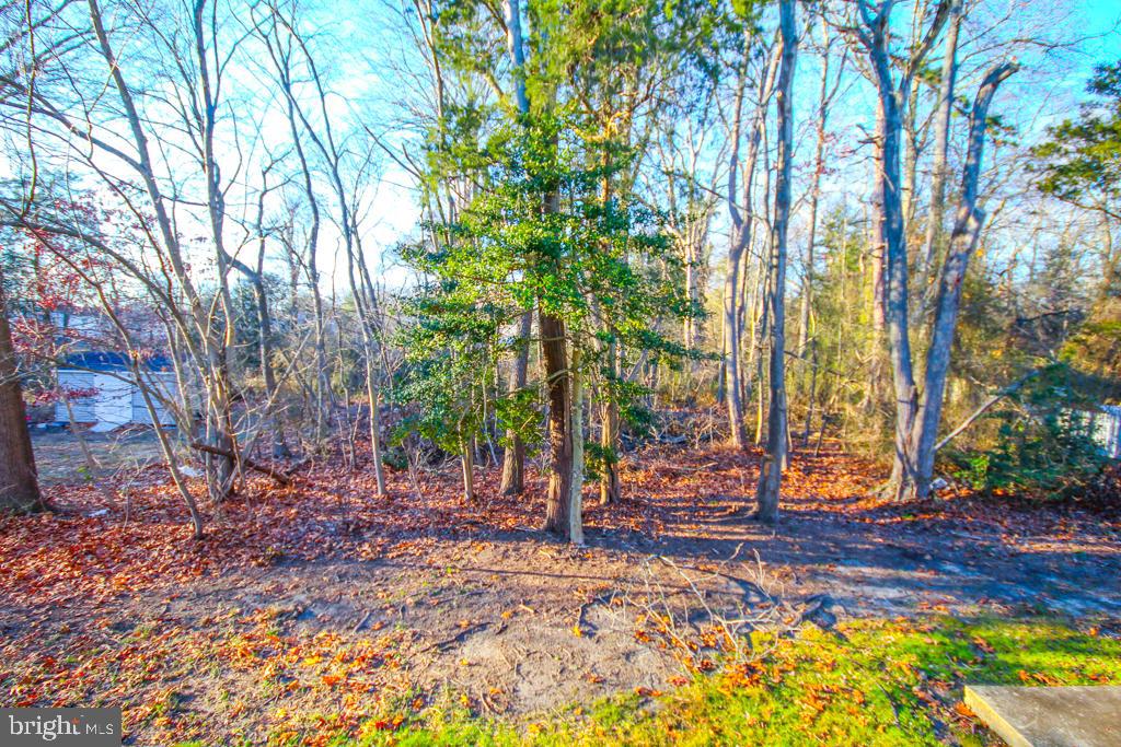 35 Jonquil Way Sicklerville, NJ 08081 - Photo 28 of 57