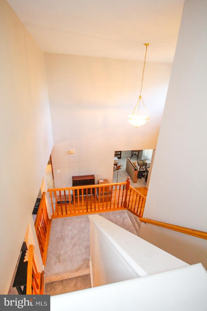 35 Jonquil Way Sicklerville, NJ 08081 - Photo 36 of 57