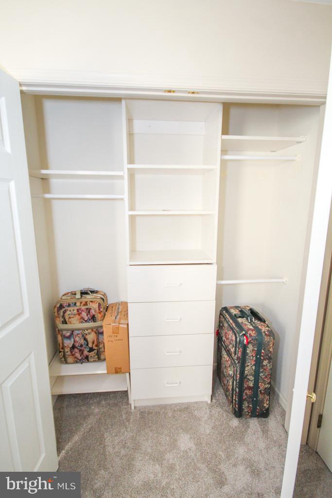 35 Jonquil Way Sicklerville, NJ 08081 - Photo 42 of 57