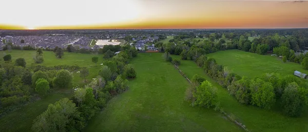 a view of a city with lush green forest