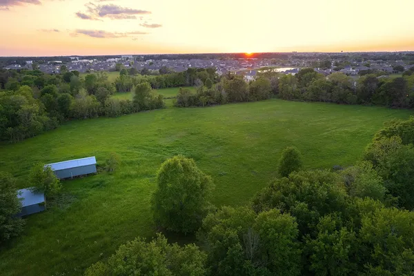 a view of a grassy area with an trees